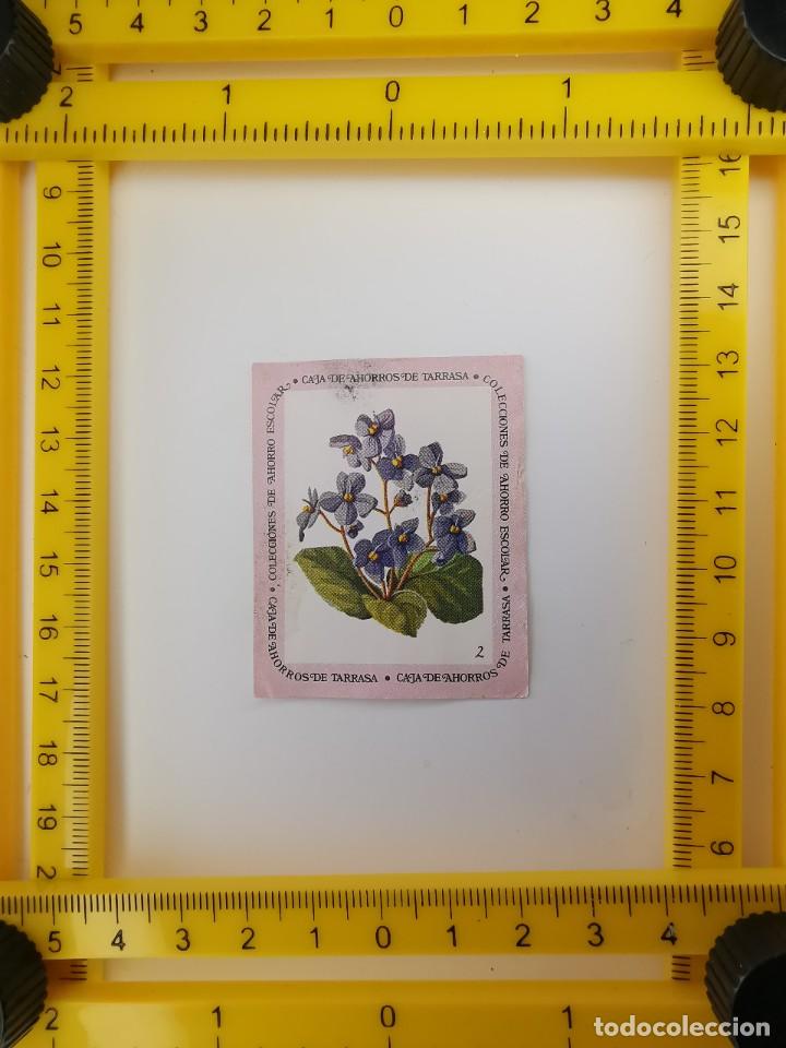 Colecionismo Cromos antigos: CROMO SIN PEGAR BANCO 1968 CAJA DE AHORROS DE BARCELONA TARRASA ALBUM PLANTAS Y FLORES 2