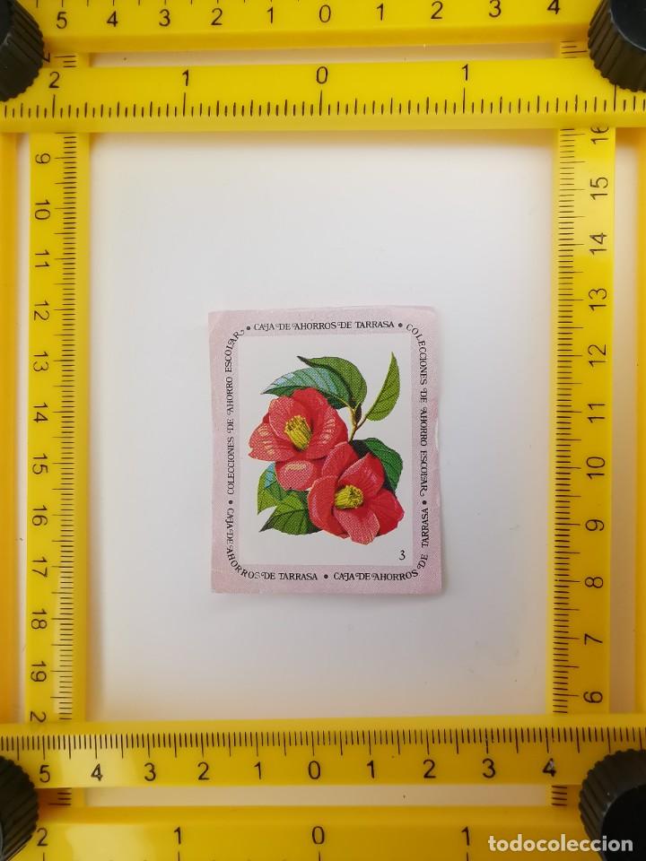 Colecionismo Cromos antigos: CROMO SIN PEGAR BANCO 1968 CAJA DE AHORROS DE BARCELONA TARRASA ALBUM PLANTAS Y FLORES 3