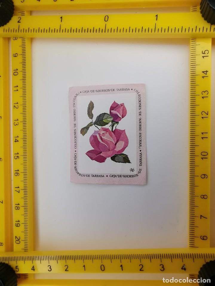 Collezionismo Figurine antiche: CROMO SIN PEGAR BANCO 1968 CAJA DE AHORROS DE BARCELONA TARRASA ALBUM PLANTAS Y FLORES 96