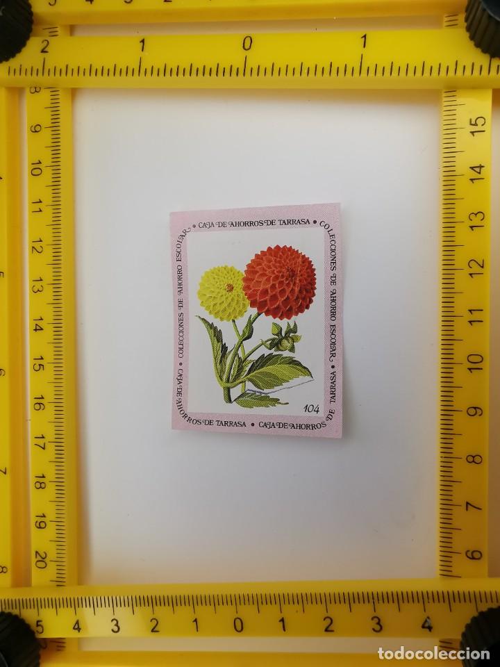 Collezionismo Figurine antiche: CROMO SIN PEGAR BANCO 1968 CAJA DE AHORROS DE BARCELONA TARRASA ALBUM PLANTAS Y FLORES 104