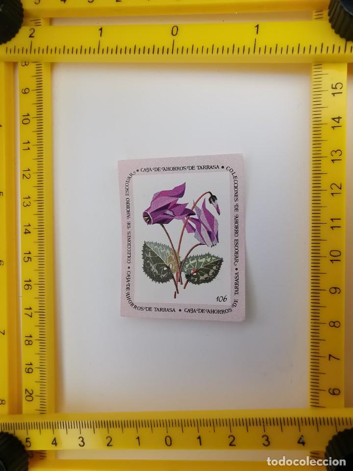 Collezionismo Figurine antiche: CROMO SIN PEGAR BANCO 1968 CAJA DE AHORROS DE BARCELONA TARRASA ALBUM PLANTAS Y FLORES 106