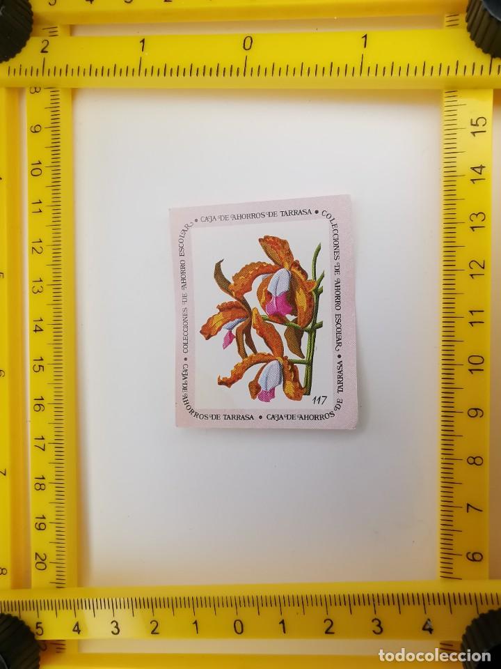 Collezionismo Figurine antiche: CROMO SIN PEGAR BANCO 1968 CAJA DE AHORROS DE BARCELONA TARRASA ALBUM PLANTAS Y FLORES 117