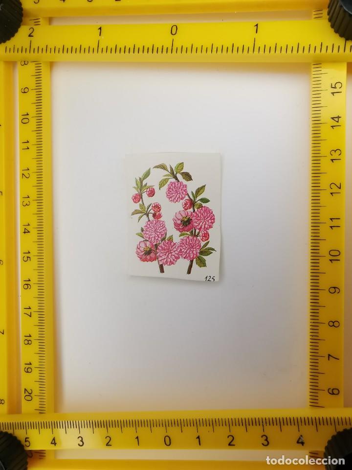 Collezionismo Figurine antiche: CROMO SIN PEGAR BANCO 1968 CAJA DE AHORROS DE BARCELONA TARRASA ALBUM PLANTAS Y FLORES 125