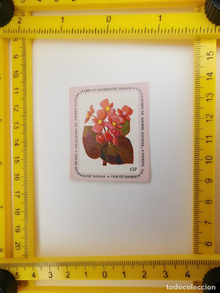 Collezionismo Figurine antiche: CROMO SIN PEGAR BANCO 1968 CAJA DE AHORROS DE BARCELONA TARRASA ALBUM PLANTAS Y FLORES 129
