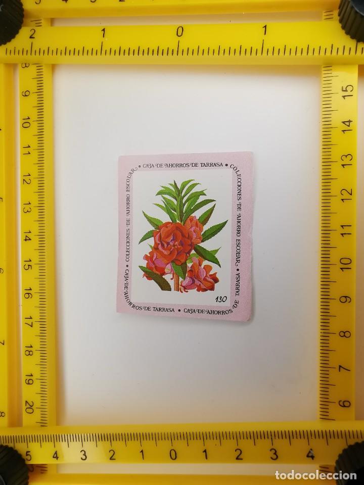 Sammeln alte Sammelbilder: CROMO SIN PEGAR BANCO 1968 CAJA DE AHORROS DE BARCELONA TARRASA ALBUM PLANTAS Y FLORES 130