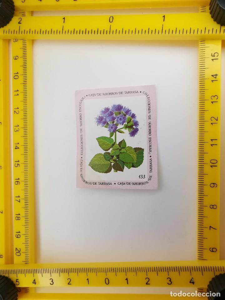 Sammeln alte Sammelbilder: CROMO SIN PEGAR BANCO 1968 CAJA DE AHORROS DE BARCELONA TARRASA ALBUM PLANTAS Y FLORES 133