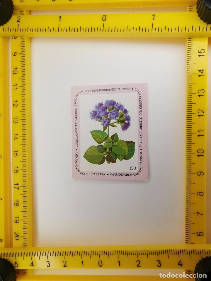 Sammeln alte Sammelbilder: CROMO SIN PEGAR BANCO 1968 CAJA DE AHORROS DE BARCELONA TARRASA ALBUM PLANTAS Y FLORES 133