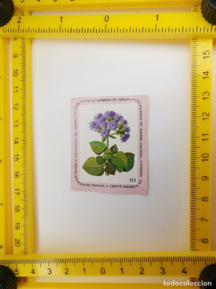 Sammeln alte Sammelbilder: CROMO SIN PEGAR BANCO 1968 CAJA DE AHORROS DE BARCELONA TARRASA ALBUM PLANTAS Y FLORES 133