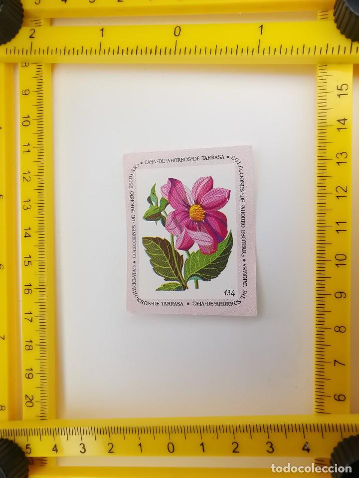 Sammeln alte Sammelbilder: CROMO SIN PEGAR BANCO 1968 CAJA DE AHORROS DE BARCELONA TARRASA ALBUM PLANTAS Y FLORES 134