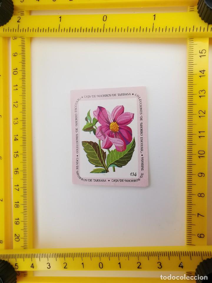 Sammeln alte Sammelbilder: CROMO SIN PEGAR BANCO 1968 CAJA DE AHORROS DE BARCELONA TARRASA ALBUM PLANTAS Y FLORES 134