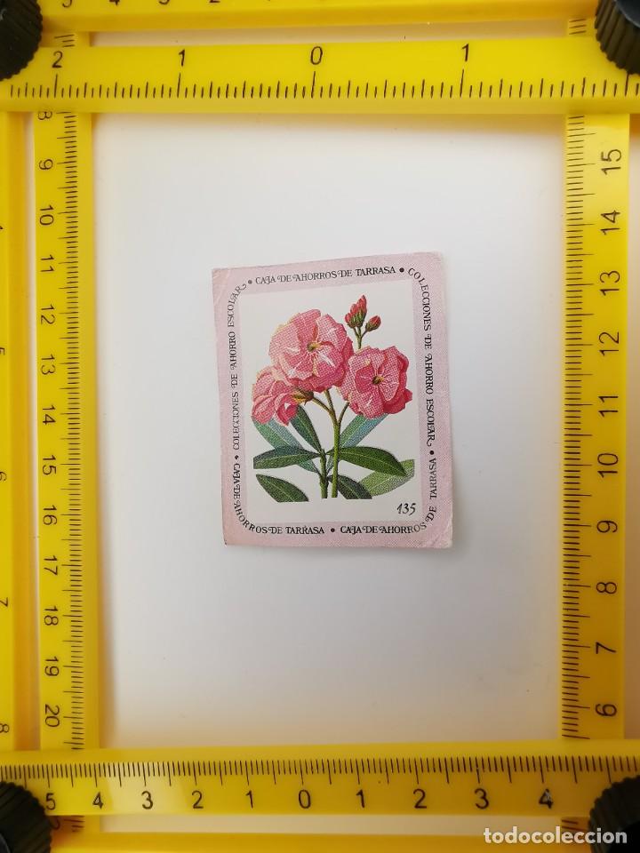 Sammeln alte Sammelbilder: CROMO SIN PEGAR BANCO 1968 CAJA DE AHORROS DE BARCELONA TARRASA ALBUM PLANTAS Y FLORES 135