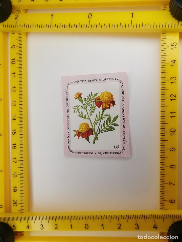 Sammeln alte Sammelbilder: CROMO SIN PEGAR BANCO 1968 CAJA DE AHORROS DE BARCELONA TARRASA ALBUM PLANTAS Y FLORES 138