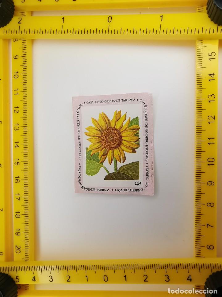 Sammeln alte Sammelbilder: CROMO SIN PEGAR BANCO 1968 CAJA DE AHORROS DE BARCELONA TARRASA ALBUM PLANTAS Y FLORES 141