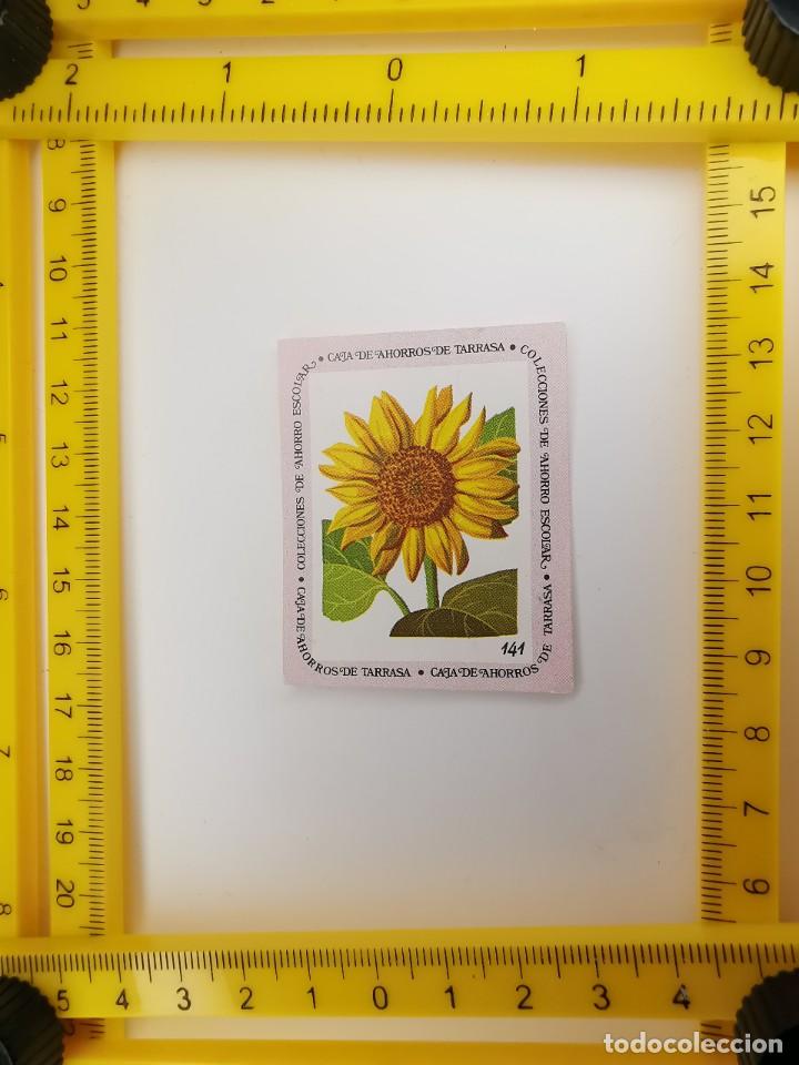Sammeln alte Sammelbilder: CROMO SIN PEGAR BANCO 1968 CAJA DE AHORROS DE BARCELONA TARRASA ALBUM PLANTAS Y FLORES 141