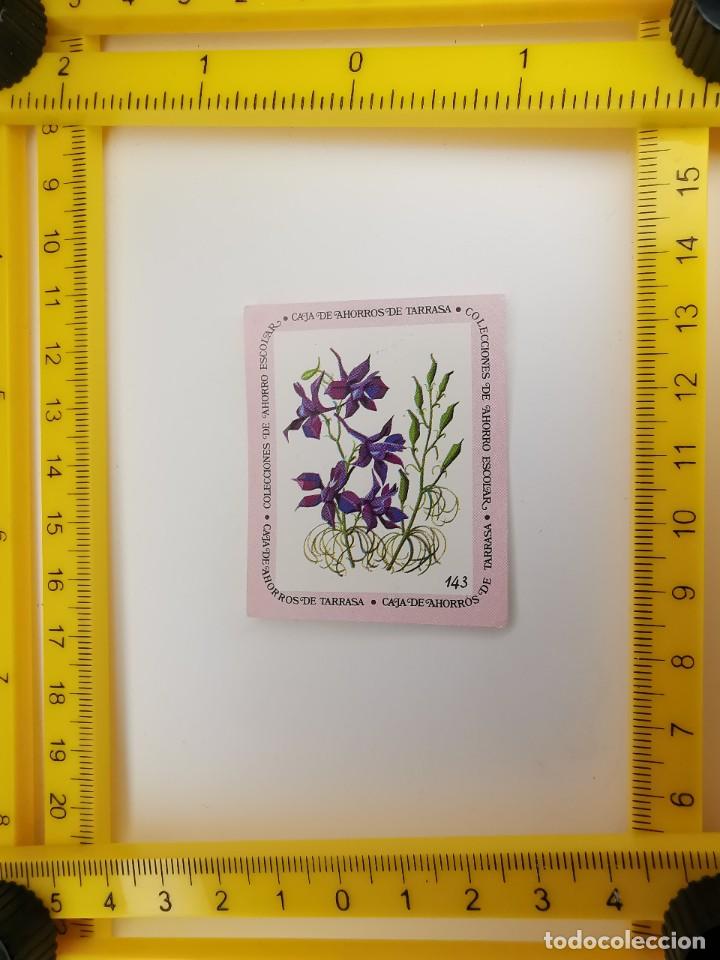 Sammeln alte Sammelbilder: CROMO SIN PEGAR BANCO 1968 CAJA DE AHORROS DE BARCELONA TARRASA ALBUM PLANTAS Y FLORES 143