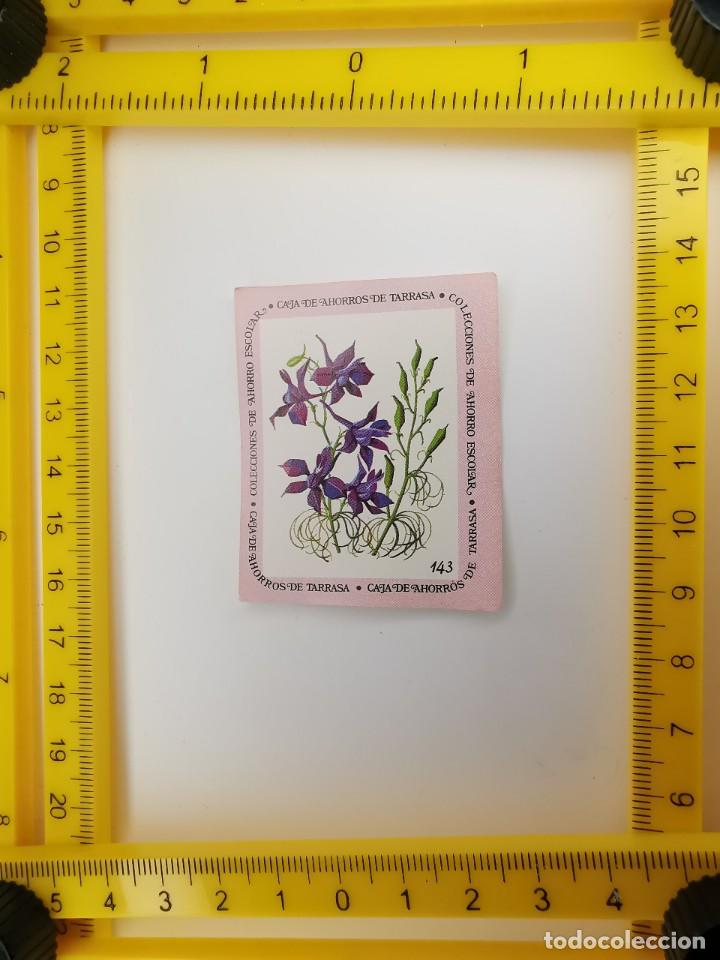 Sammeln alte Sammelbilder: CROMO SIN PEGAR BANCO 1968 CAJA DE AHORROS DE BARCELONA TARRASA ALBUM PLANTAS Y FLORES 143