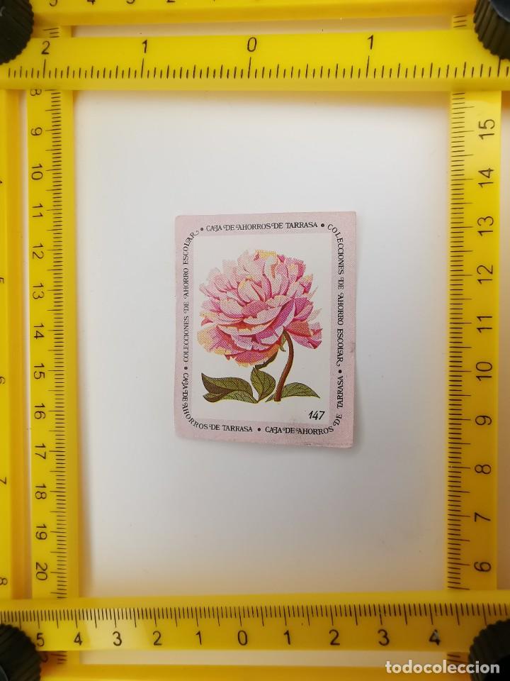 Sammeln alte Sammelbilder: CROMO SIN PEGAR BANCO 1968 CAJA DE AHORROS DE BARCELONA TARRASA ALBUM PLANTAS Y FLORES 147