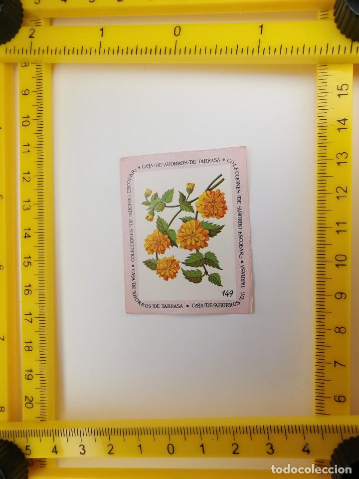 Sammeln alte Sammelbilder: CROMO SIN PEGAR BANCO 1968 CAJA DE AHORROS DE BARCELONA TARRASA ALBUM PLANTAS Y FLORES 149