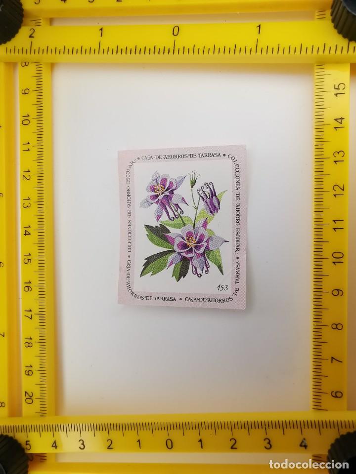 Sammeln alte Sammelbilder: CROMO SIN PEGAR BANCO 1968 CAJA DE AHORROS DE BARCELONA TARRASA ALBUM PLANTAS Y FLORES 153