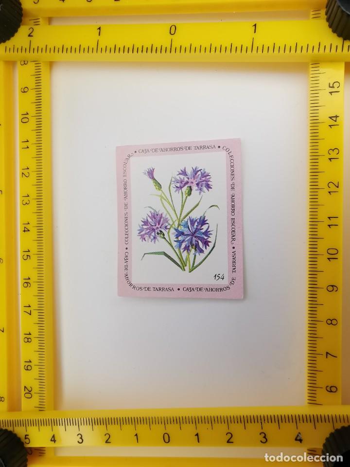 Sammeln alte Sammelbilder: CROMO SIN PEGAR BANCO 1968 CAJA DE AHORROS DE BARCELONA TARRASA ALBUM PLANTAS Y FLORES 154