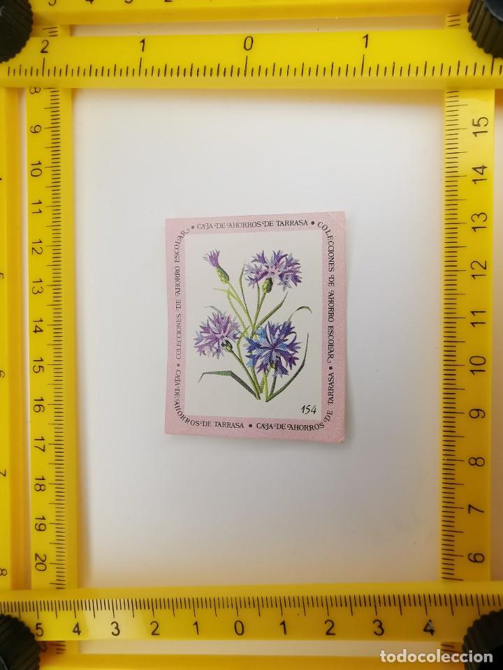 Sammeln alte Sammelbilder: CROMO SIN PEGAR BANCO 1968 CAJA DE AHORROS DE BARCELONA TARRASA ALBUM PLANTAS Y FLORES 154