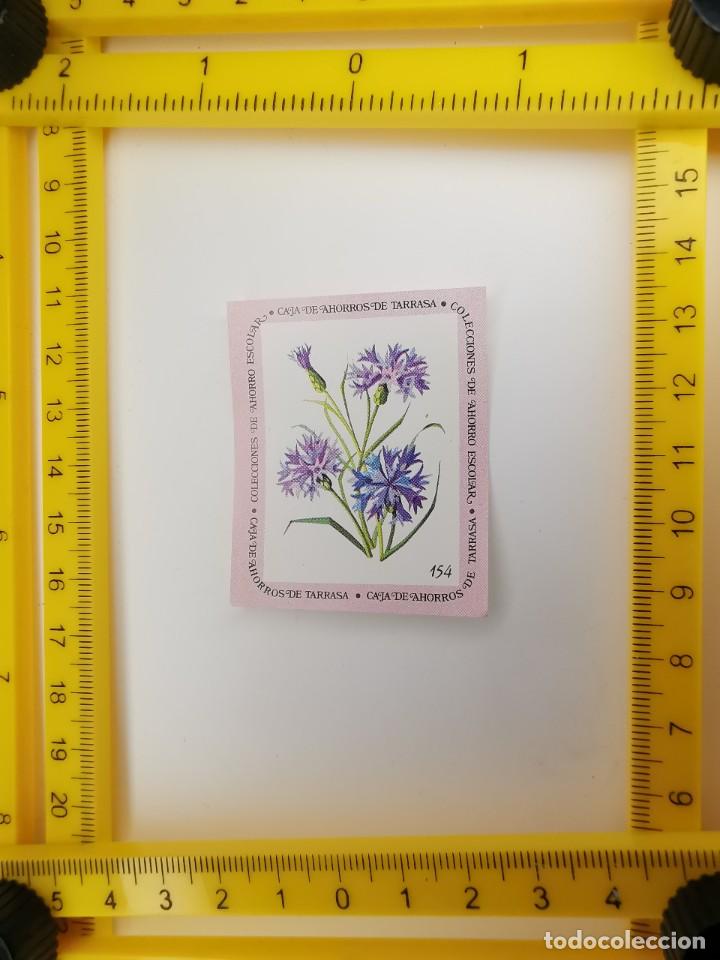 Sammeln alte Sammelbilder: CROMO SIN PEGAR BANCO 1968 CAJA DE AHORROS DE BARCELONA TARRASA ALBUM PLANTAS Y FLORES 154