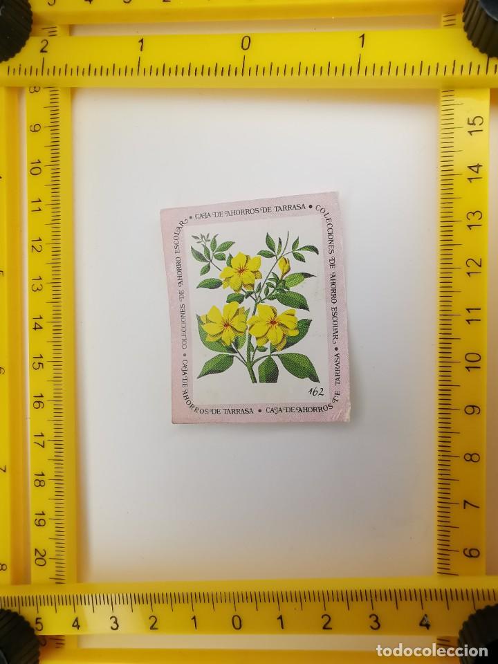 Sammeln alte Sammelbilder: CROMO SIN PEGAR BANCO 1968 CAJA DE AHORROS DE BARCELONA TARRASA ALBUM PLANTAS Y FLORES 162