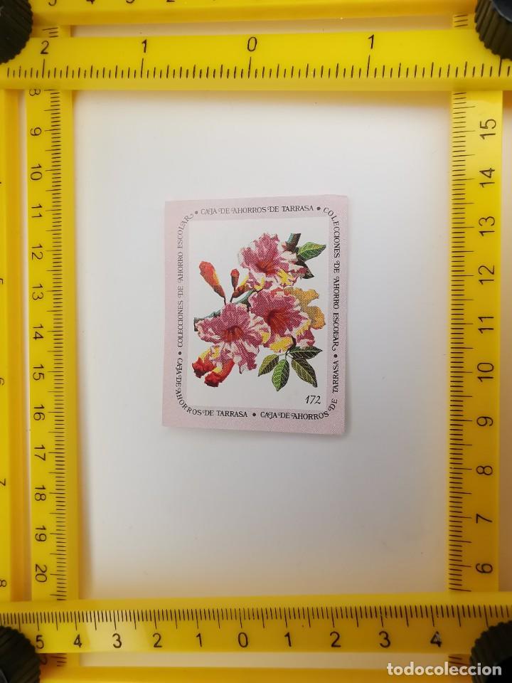 Collezionismo Figurine antiche: CROMO SIN PEGAR BANCO 1968 CAJA DE AHORROS DE BARCELONA TARRASA ALBUM PLANTAS Y FLORES 172