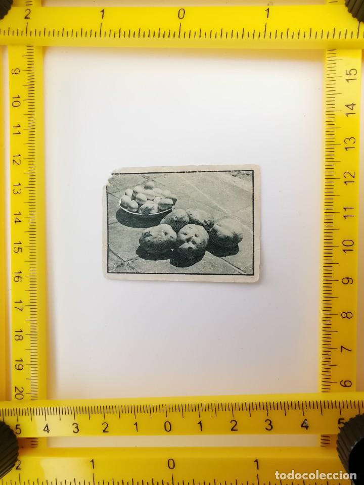 Colecionismo Cromos antigos: CROMO SIN PEGAR 2&ordm; ALBUM GALLINA BLANCA SERIE 70 10 HACIENDA RURAL PATATAS