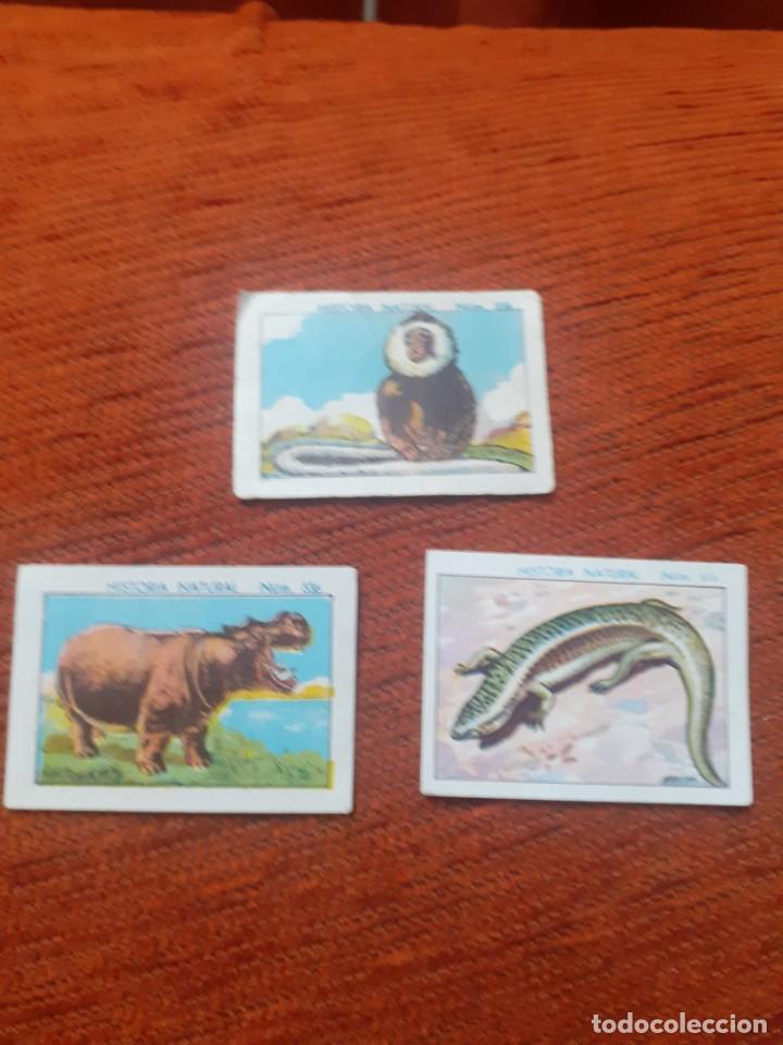 Coleccionismo cromos antiguos: Lote de 7 cromos antiguos Juncosa - Foto 2
