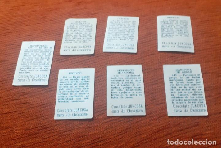 Coleccionismo cromos antiguos: Lote de 7 cromos antiguos Juncosa - Foto 4