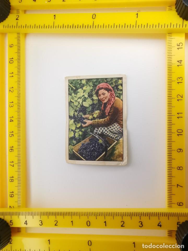 Coleccionismo cromos antiguos: CROMO SIN PEGAR PRIMER ALBUM GALLINA BLANCA SERIE 6 2 EL VINO VENDIMIADORA