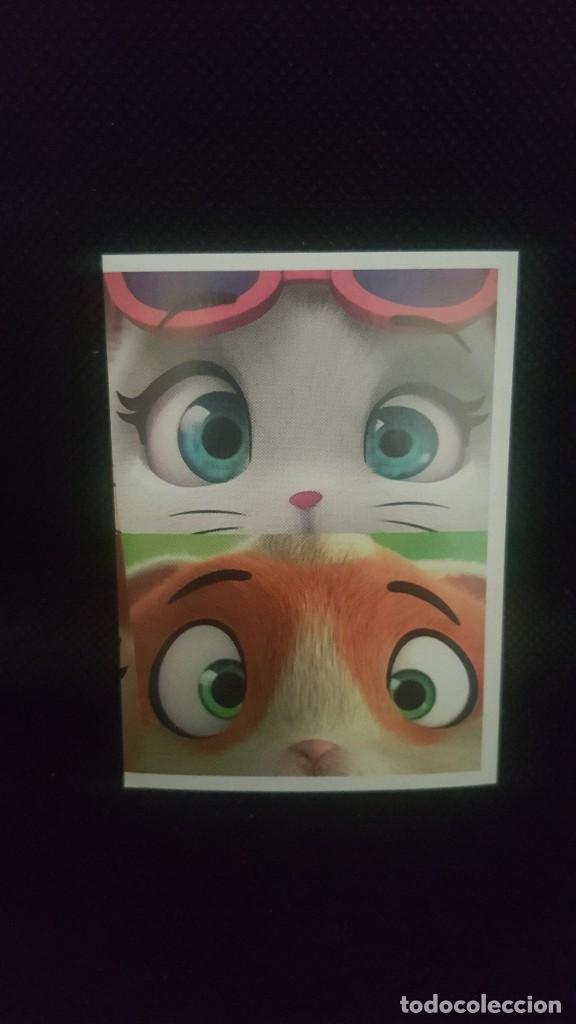 Coleccionismo cromos antiguos: PANINI 44 GATOS - N&ordm; 72 - Foto 1