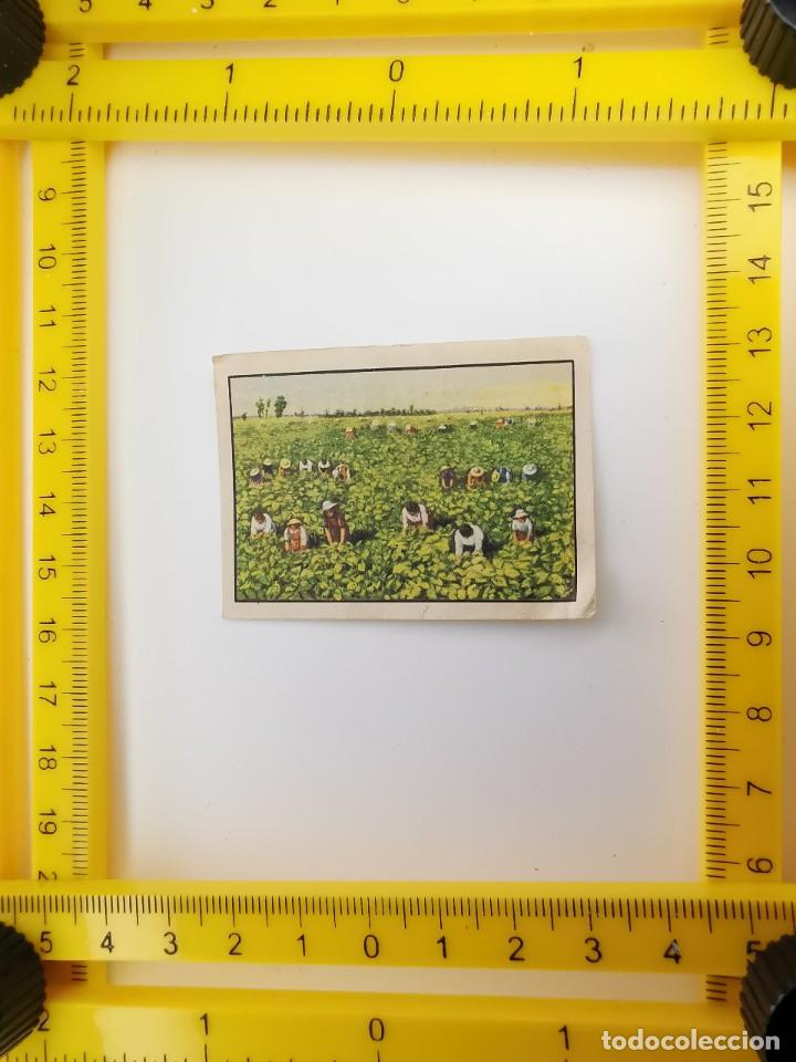 Collectable Antique Stickers: CROMO SIN PEGAR PRIMER ALBUM GALLINA BLANCA SERIE 1 5 HACIENDA GALLINA BLANCA