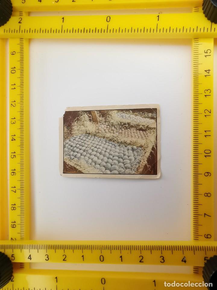 Collectable Antique Stickers: CROMO SIN PEGAR PRIMER ALBUM GALLINA BLANCA SERIE 16 4 FRUTOS VOLATERIA HUEVOS