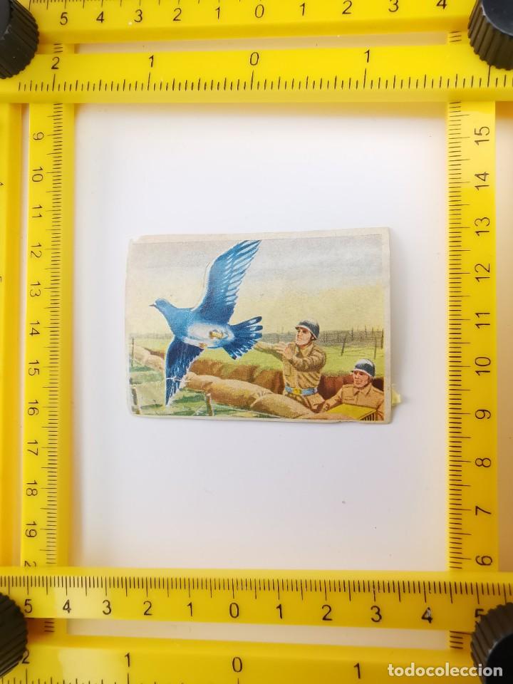 Sammeln alte Sammelbilder: CROMO RECUPERADO PANRICO BIMBO ALBUM BIMBO CONOCIMIENTOS UNIVERSALES 76