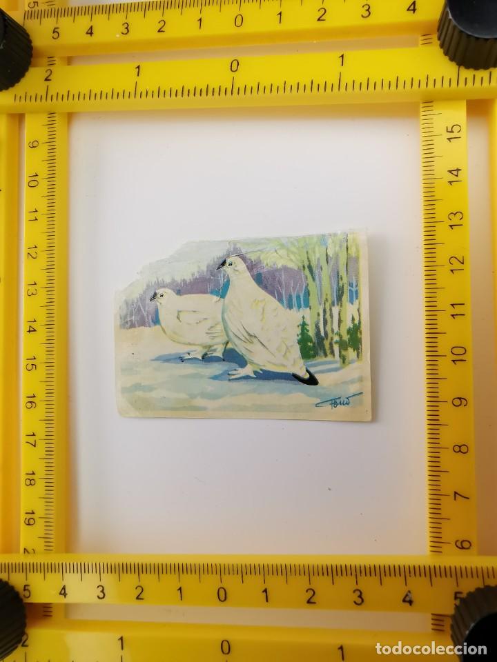 Sammeln alte Sammelbilder: CROMO RECUPERADO PANRICO BIMBO ALBUM BIMBO CONOCIMIENTOS UNIVERSALES 102