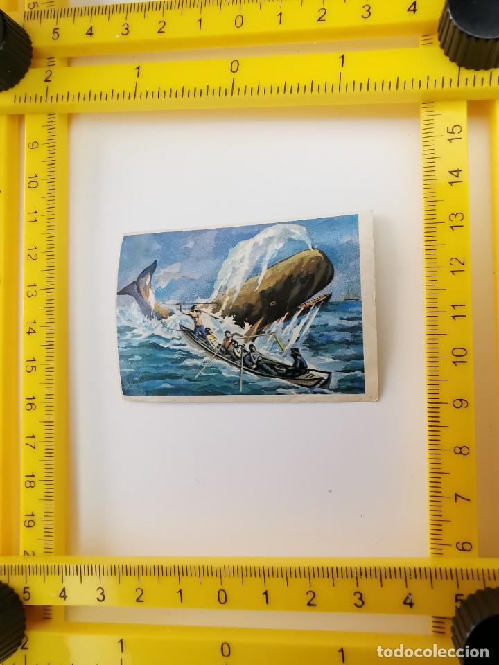 Sammeln alte Sammelbilder: CROMO RECUPERADO PANRICO BIMBO ALBUM BIMBO CONOCIMIENTOS UNIVERSALES 58