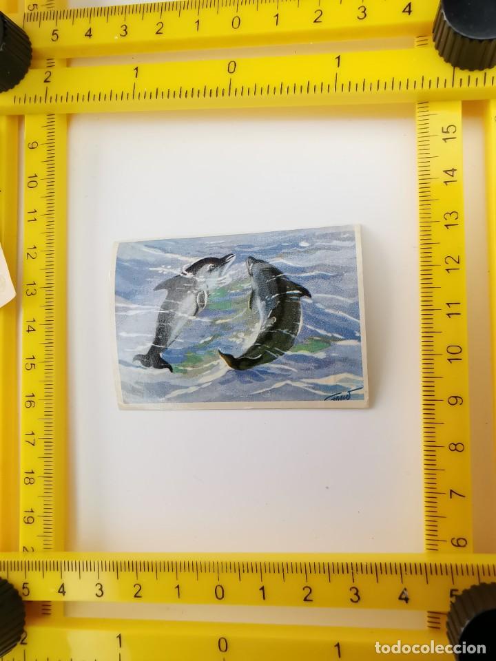 Sammeln alte Sammelbilder: CROMO RECUPERADO PANRICO BIMBO ALBUM BIMBO CONOCIMIENTOS UNIVERSALES 60