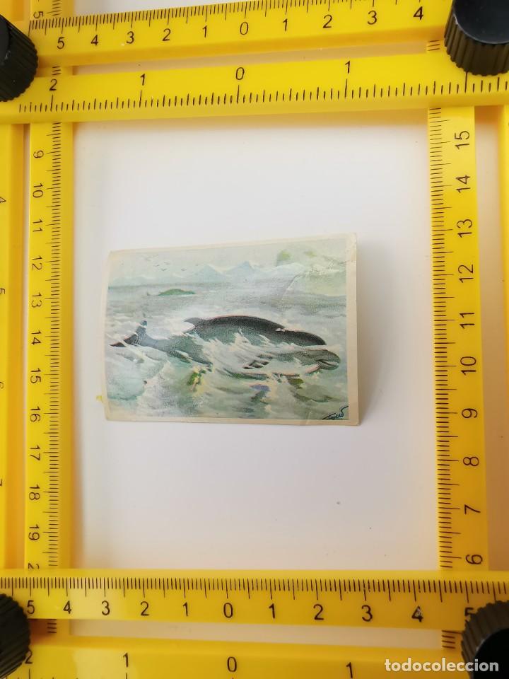 Sammeln alte Sammelbilder: CROMO RECUPERADO PANRICO BIMBO ALBUM BIMBO CONOCIMIENTOS UNIVERSALES 63