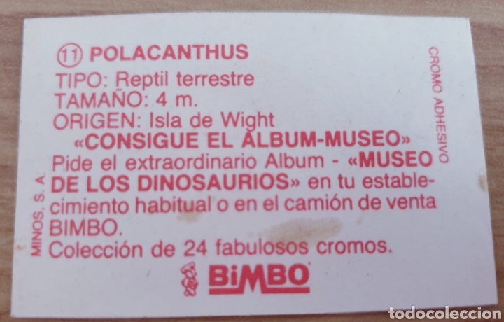 Coleccionismo cromos antiguos: Cromo Dinosaurios Bimbo 11 - Foto 2