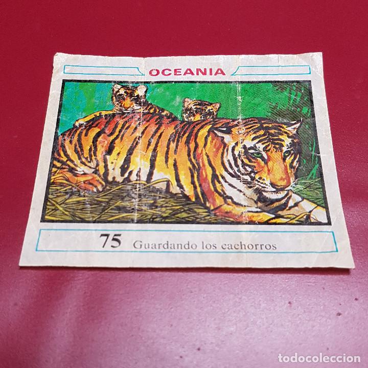 Coleccionismo cromos antiguos: DUNKIN - OCEANIA - UN CROMO - 75 - Foto 1