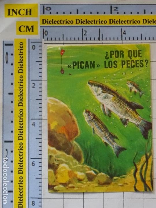 Colecionismo Cromos antigos: CROMO CROMITO CHUCHER&Iacute;AS. &Aacute;LBUM BIMBO EL PORQUE DE LAS COSAS 3 1972. 2 PECES