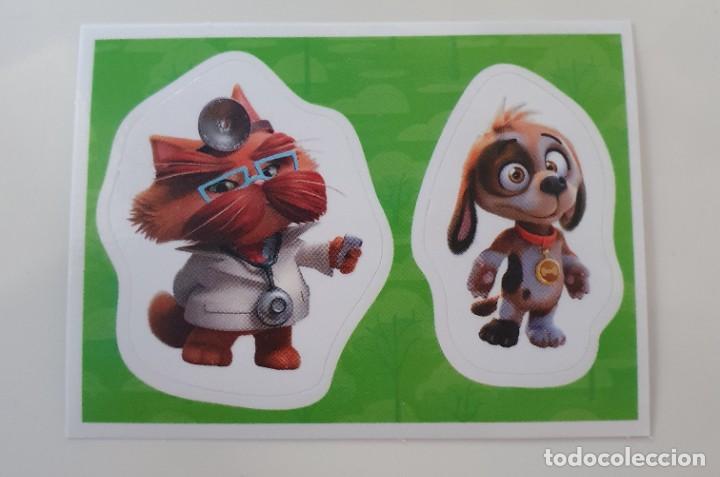 Collezionismo Figurine antiche: Cromo Letra P15 Colecci&oacute;n 44 Gatos - Panini - 2021