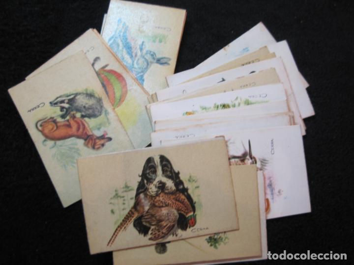 Collezionismo Figurine antiche: PERROS-DIBUJO CERRA-LOTE DE 30 CROMOS DE LAS CAJAS DE CERILLAS-VER FOTOS-(CR-2558)