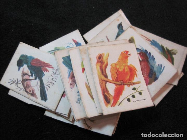 Collezionismo Figurine antiche: PAJAROS-LOTE DE 28 CROMOS DE LAS CAJAS DE CERILLAS-VER FOTOS-(CR-2559)
