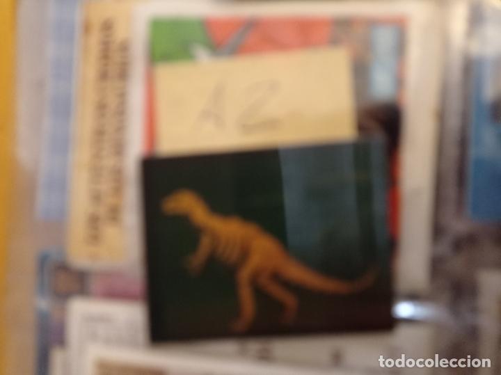 Coleccionismo Cromos antiguos: BOLLYCAO DINOSAURIOS EL MUNDO PERDIDO 3D LENTICULAR N 15