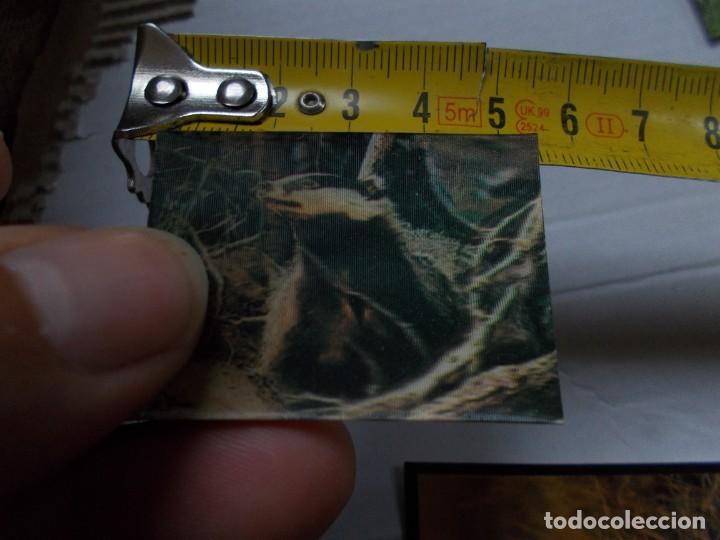 Coleccionismo cromos antiguos: CROMO DE PANRICO, TEJON - Foto 1