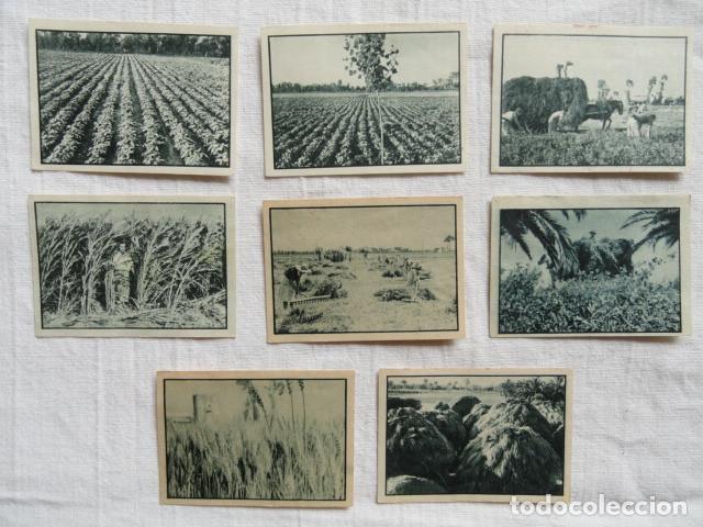 Collectionnisme Cartes &agrave; collectionner anciennes: 2&ordm; &Aacute;LBUM GALLINA BLANCA. SERIE 70 - HACIENDA RURAL -. LOTE 8 CROMOS.