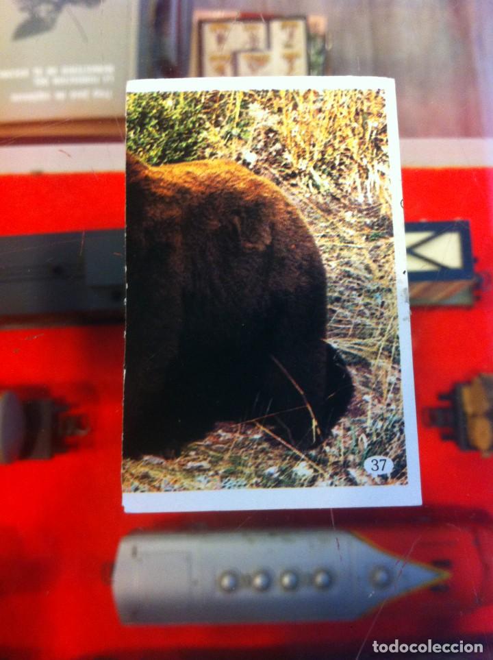 Coleccionismo cromos antiguos: CROMO TELE INDISCRETA. (SIN USO) N&ordm; 37 - Foto 1
